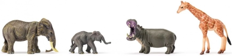 Razširljiv safari z majhnimi in velikimi vrstami