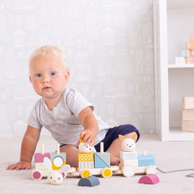 Bigjigs Baby Lesen vlakec z živalcami