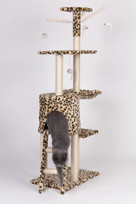 Praskalnik za mačke, hišica, drevo, postelja, 138cm xl, Panther