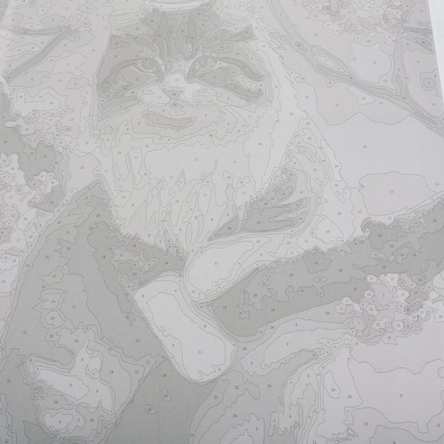 Slika s številkami 40x50cm - Maaleo kat. št. 22783