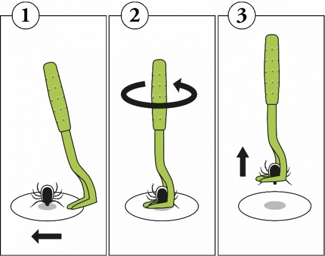 Preprost postopek korak za korakom