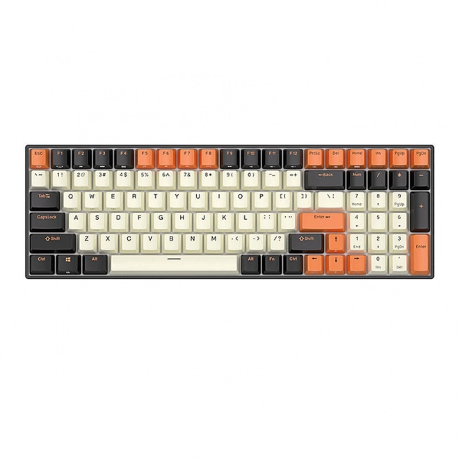 Mehanska tipkovnica Royal Kludge RK100 RGB rjavi stikalnik