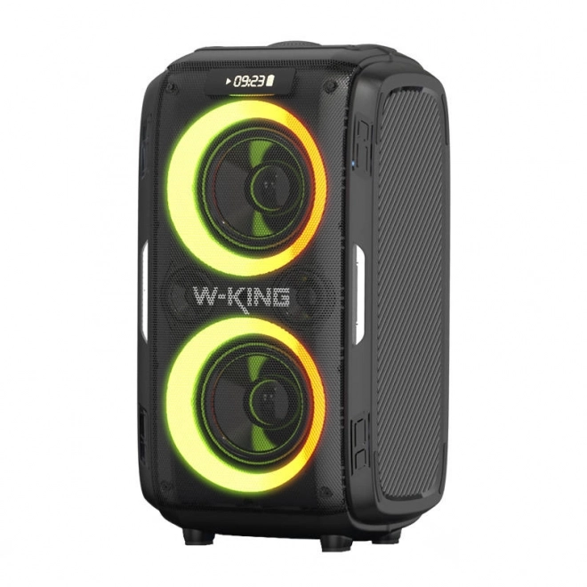 Brezžični zvočnik Bluetooth W-KING T9 Pro 120W (črn)
