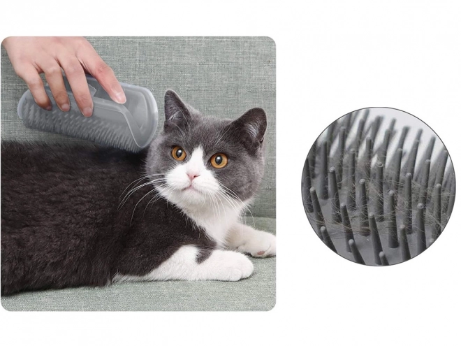 Kotna ščetka za mačke s catnipom
