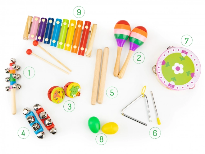 Glasbeni komplet 14 inštrumentov + torba Ecotoys