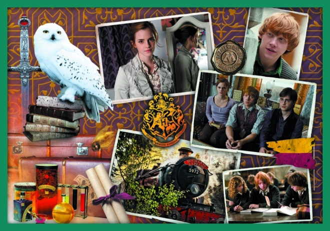 Sestavljanka Harry Potter - V svetu Harryja Potterja 10v1