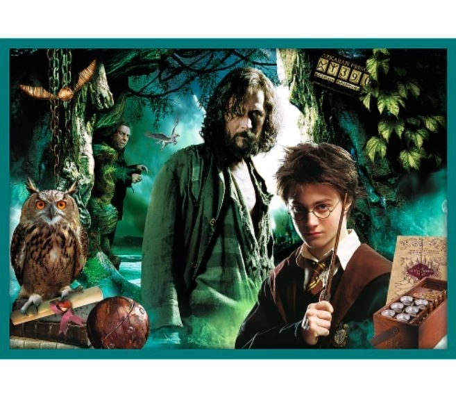 Sestavljanka Harry Potter - V svetu Harryja Potterja 10v1