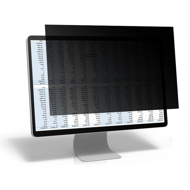 Zasebni filter za monitor 23,8 palcev