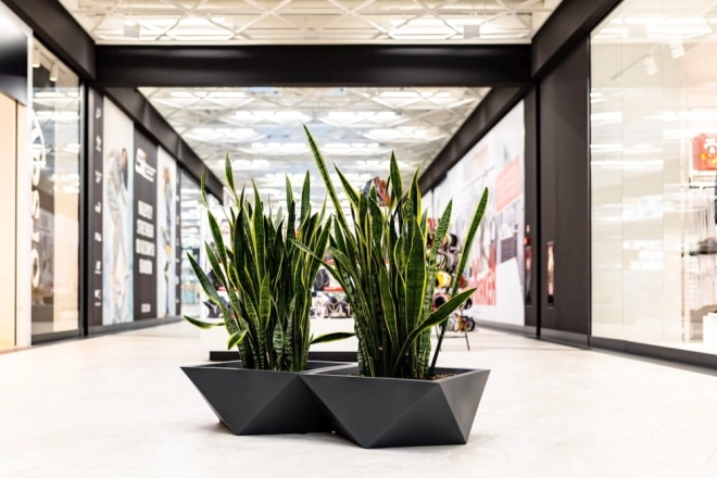 Slogovna geometrija za moderne prostore