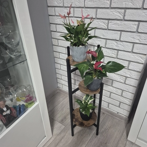 Samostoječe stojalo za rože 80cm