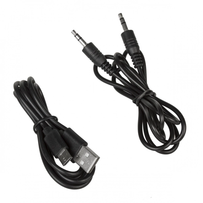 Bluetooth zvočnik s radiem in USB Audiocore