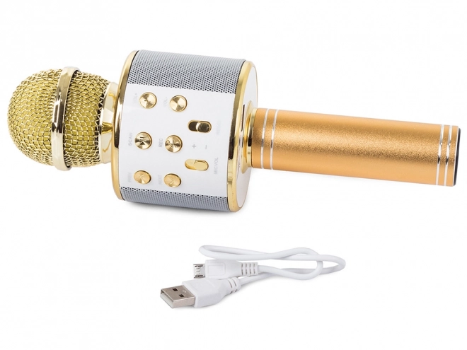 Brezžični bluetooth mikrofon karaoke