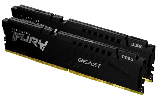 Kingston Fury Beast DDR5 Pomnilnik 16GB (2x8GB) 6000MHz CL30 EXPO črna