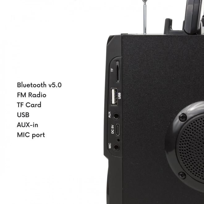 Bluetooth zvočnik s radiem in USB Audiocore