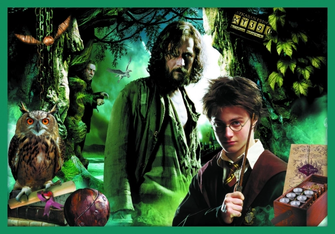 Sestavljanka Harry Potter - V svetu Harryja Potterja 10v1
