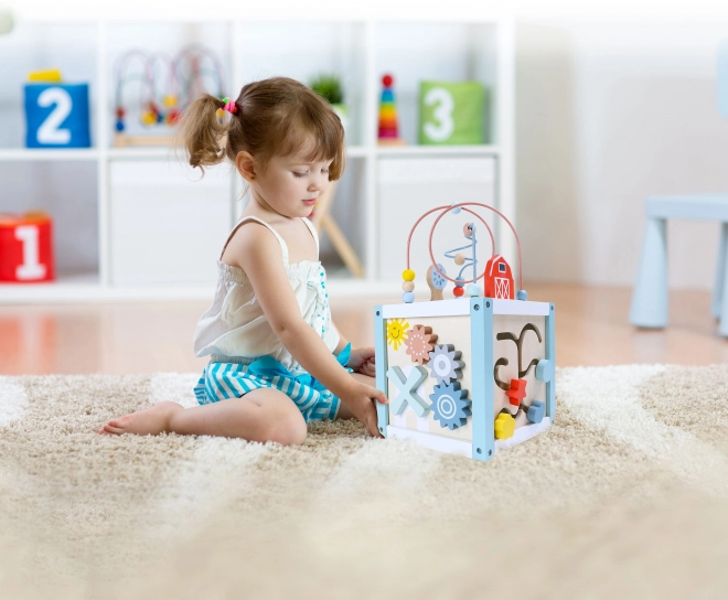Lesena sortirna kock s kockami Ecotoys