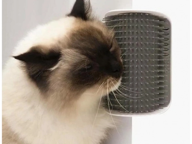 Kotna ščetka za mačke s catnipom