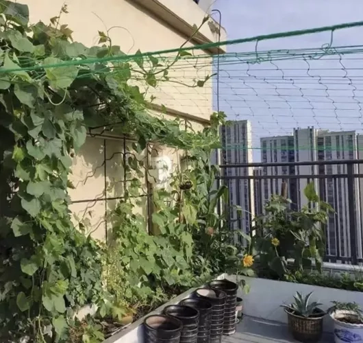 Mreža - opora za rastline 2x20m Gardlov 23980