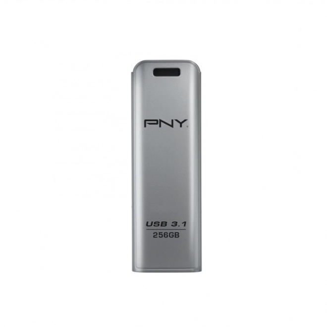 Pendrive 256GB USB 3.1 Elite Steel