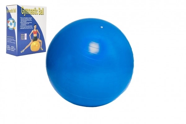 Gimnastična žoga 65cm rehabilitacijska sprostitvena v škatli 16x22cm
