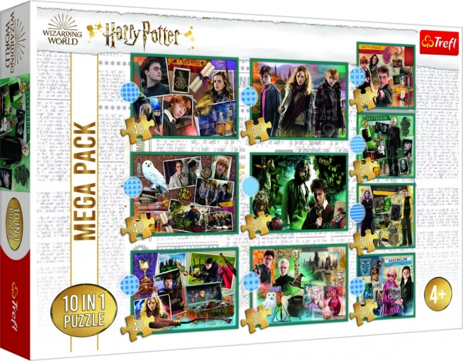 Sestavljanka Harry Potter - V svetu Harryja Potterja 10v1