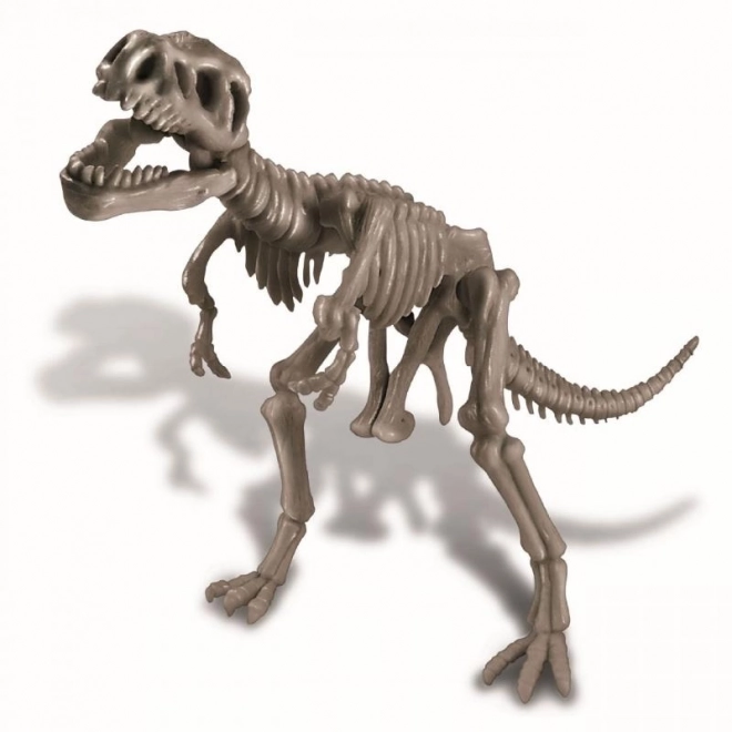 Dinozavrski okostje - REX