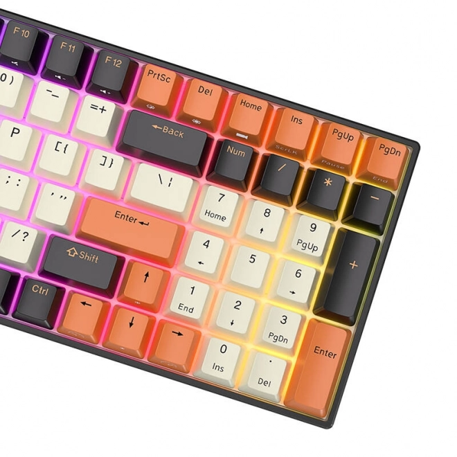 Mehanska tipkovnica Royal Kludge RK100 RGB rjavi stikalnik
