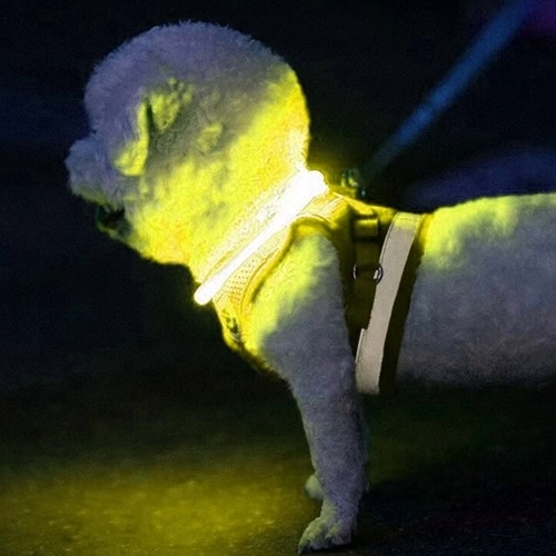Svetleča LED ovratnica za pse in mačke