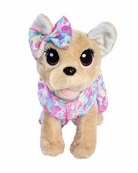 Prisrčen chihuahua 20 cm – mehak in prijeten na dotik