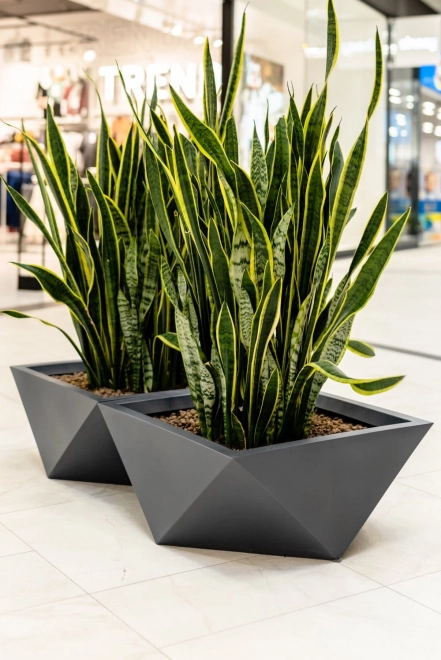 Oblikovalski cvetlični lonček MONUMO VENDETTA višina 30 cm antracitna