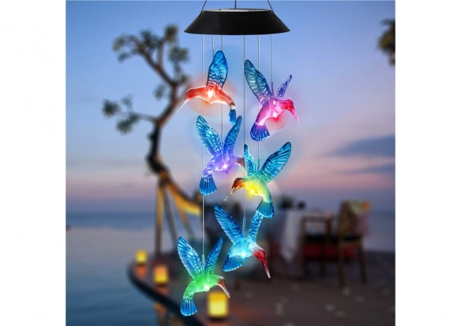 Sončna svetilka Kolibri LED barve