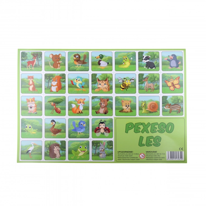Pexeso ilustrirana gozdna igra