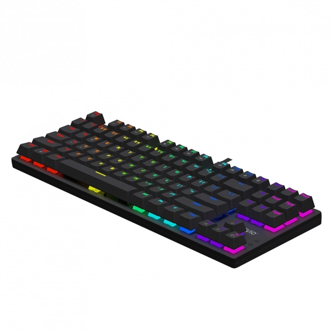 Mehanska tipkovnica Savio Tempest X2 RGB Outemu Brown