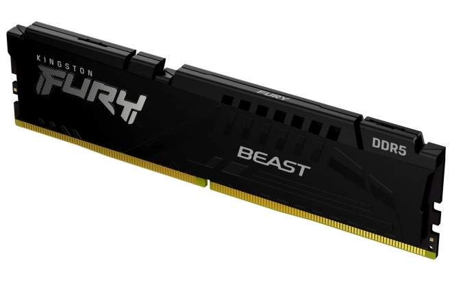Pomnilnik Kingston Fury Beast DDR5 32GB 6000MHz CL30 EXPO, črna
