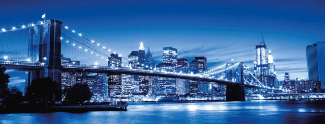 Panoramske puzzle Svetleči New York 1000 koščkov