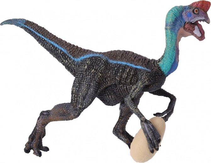 Idealno za učenje in zbirko