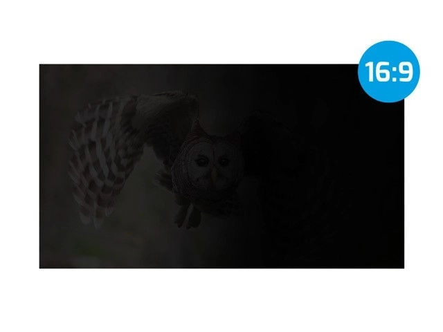 Zaščitni filter za osebne podatke Natec Owl 16 palcev 16:10