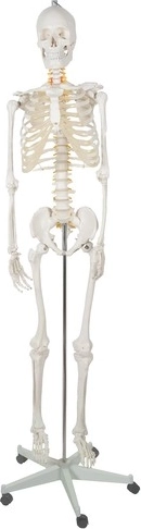 Mobilno in prilagodljivo