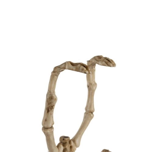 Okostje netopirja - dekoracija 30 cm Malatec