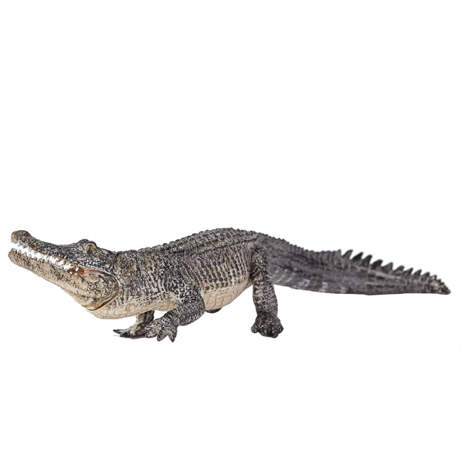 Mojo Živalski planet Aligator
