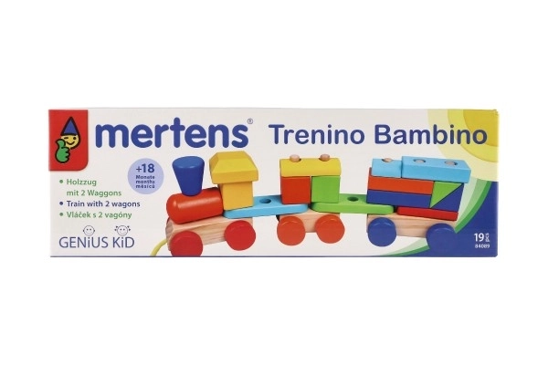 Barvni leseni vlak z vagoni od Mertens