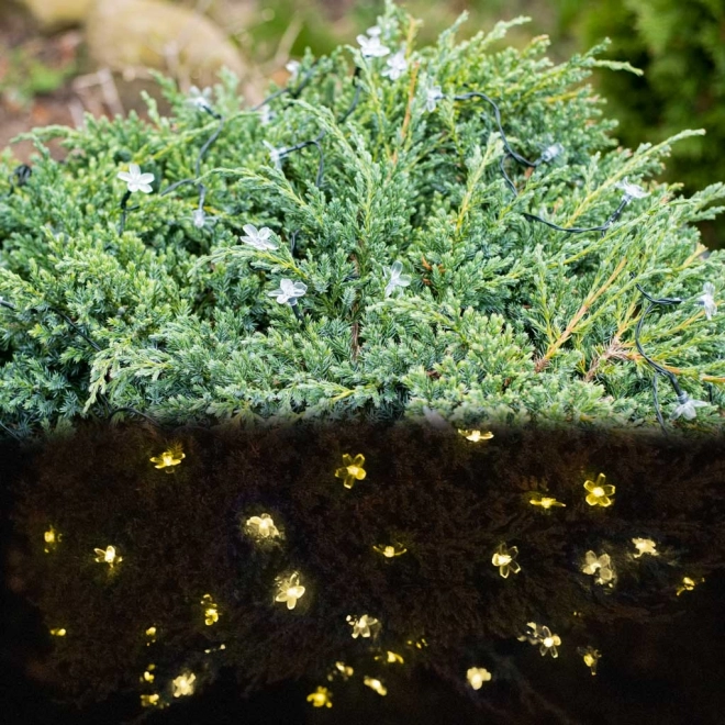 Sončna cvetlična vrtna svetilka 7m 50LED topla bela