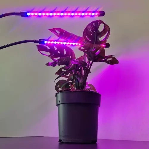 Lučka 20 LED 2 kosi za rast rastlin
