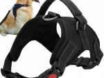 Neudoben pasji oprsnik M, črn