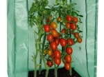 Vrtni rastlinjak iz folije 100 × 50 × 150 cm