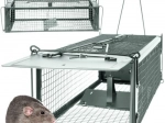 Live-capture rodent trap with automatic closing