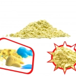 rumen