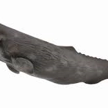 Kit iz zbirke Collecta