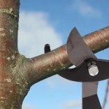 Vrtne vzvodne škarje za veje z dolgimi ročicami