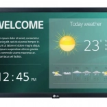 LG 22" profesionalni monitor 22SM3G